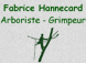 Arboriste-Grimpeur